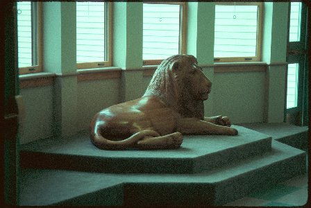 LION by S. Lindsay