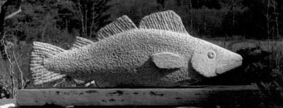 COD I by S. Lindsay